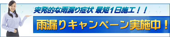 突発的な雨漏り症状なら最短1日施工!雨漏りキャンペーン実施中